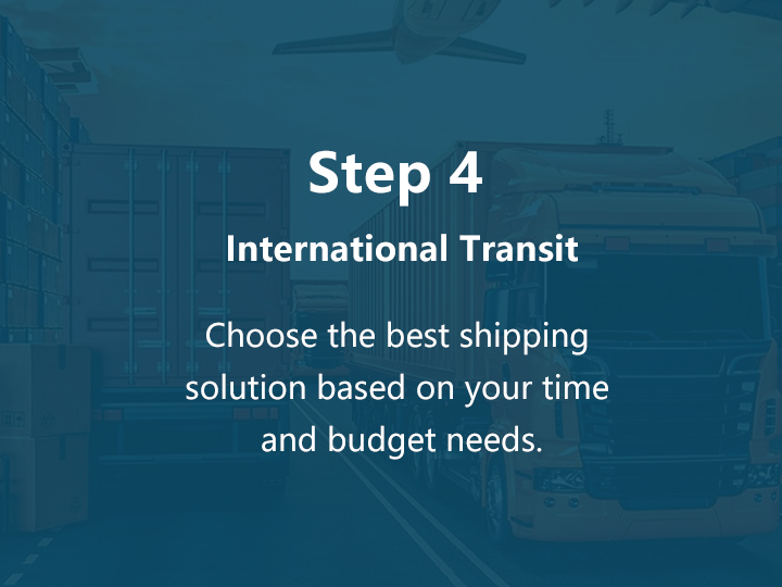 International Transit